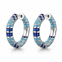 Frosted Sparkle Hoop Earrings