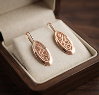 Opengleam Golden Drop Earrings