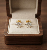 Tera Earrings